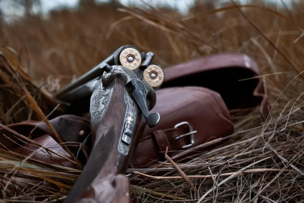 Fusil de chasse à Gaillan-en-Médoc