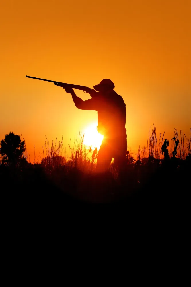 Nos partenaires chasse (4)